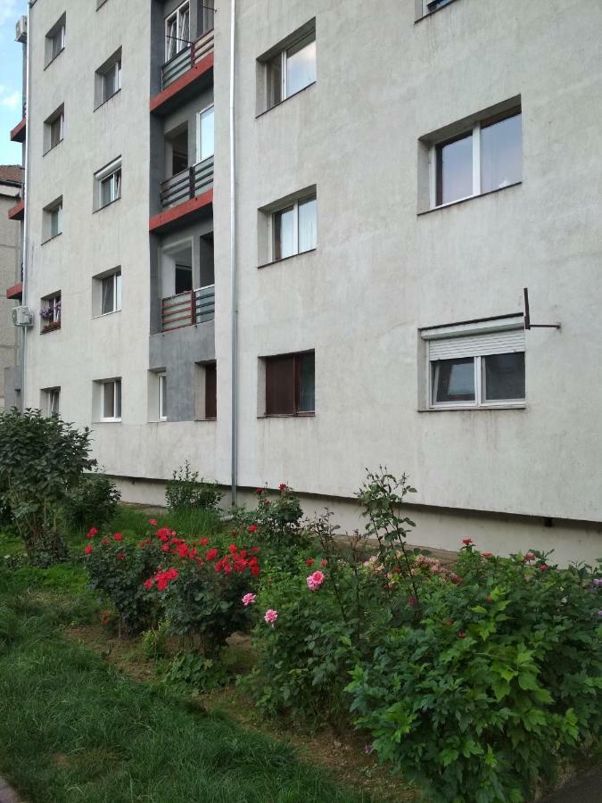 Alesia Lägenhet Oradea Exteriör bild
